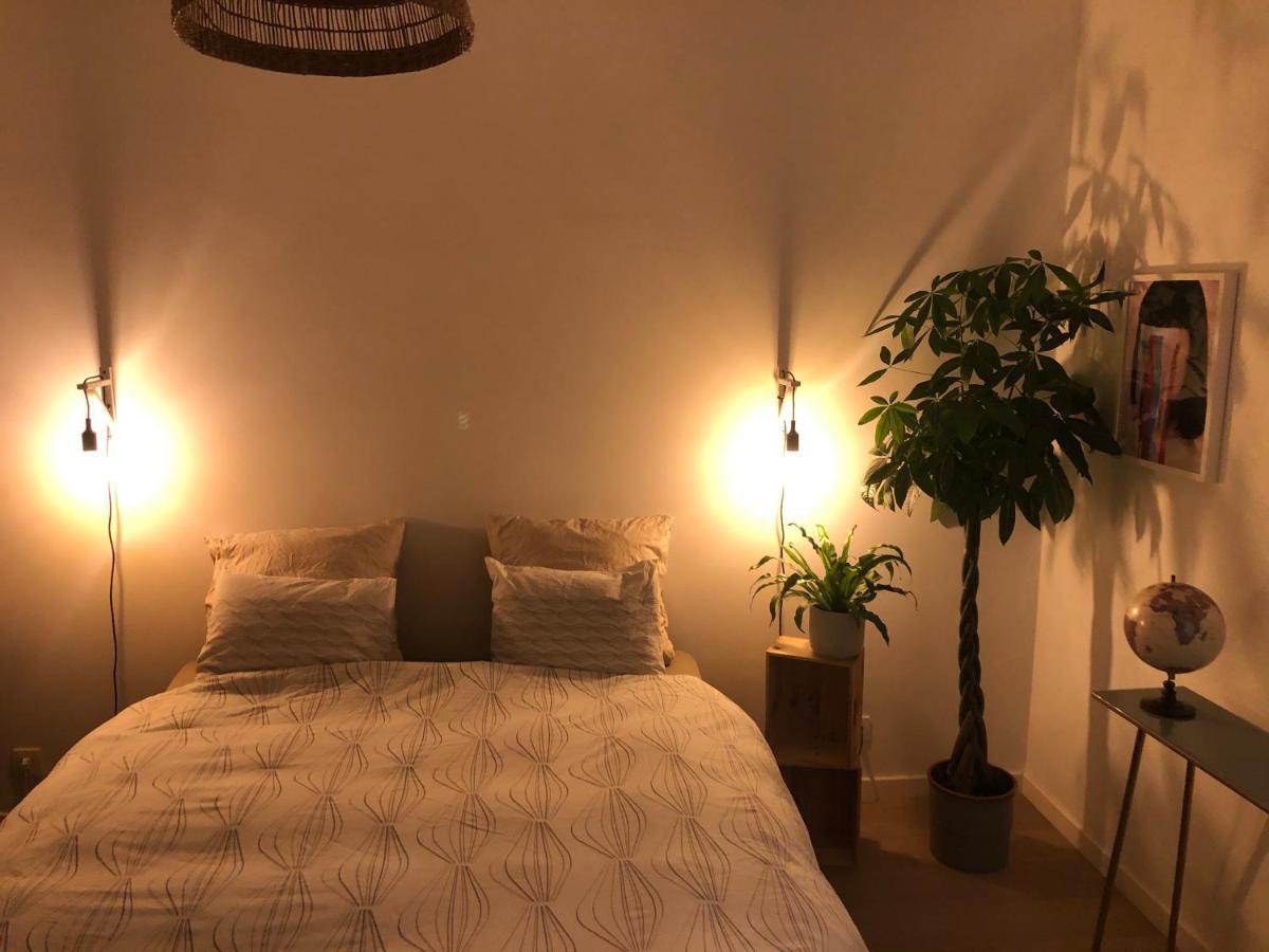 Appartement Op Top Locatie In Antwerpen מראה חיצוני תמונה